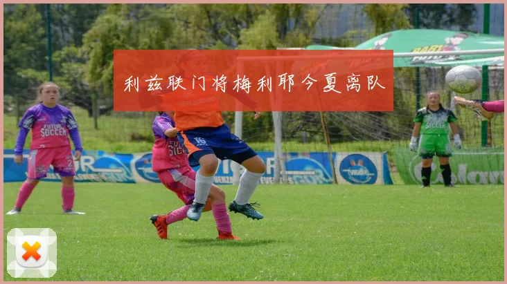 利兹联门将梅利耶今夏离队