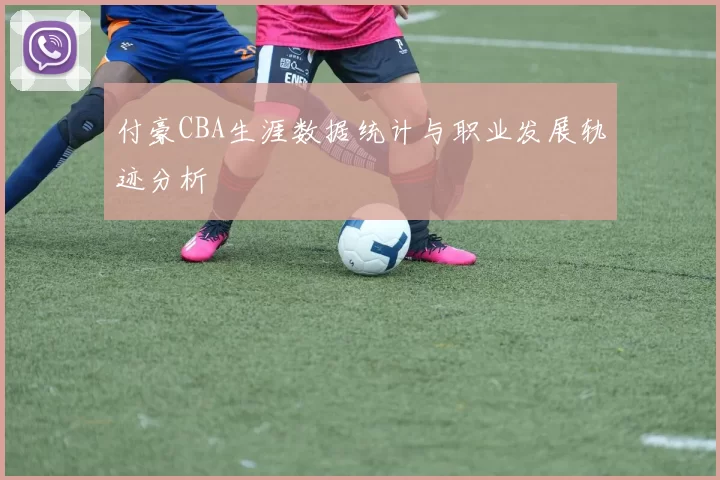 付豪CBA生涯数据统计与职业发展轨迹分析