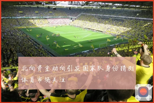 北向资金动向引发国家队身份猜测体育市场关注