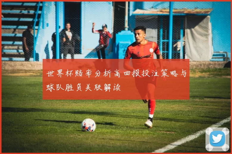 世界杯赔率分析高回报投注策略与球队胜负关联解读