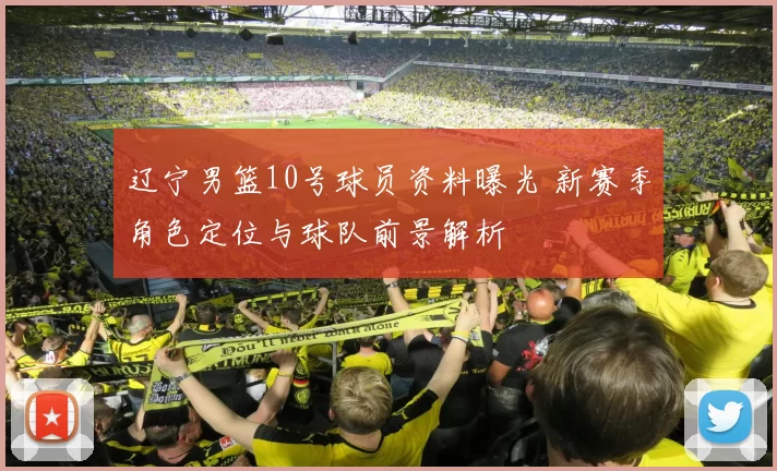 辽宁男篮10号球员资料曝光 新赛季角色定位与球队前景解析