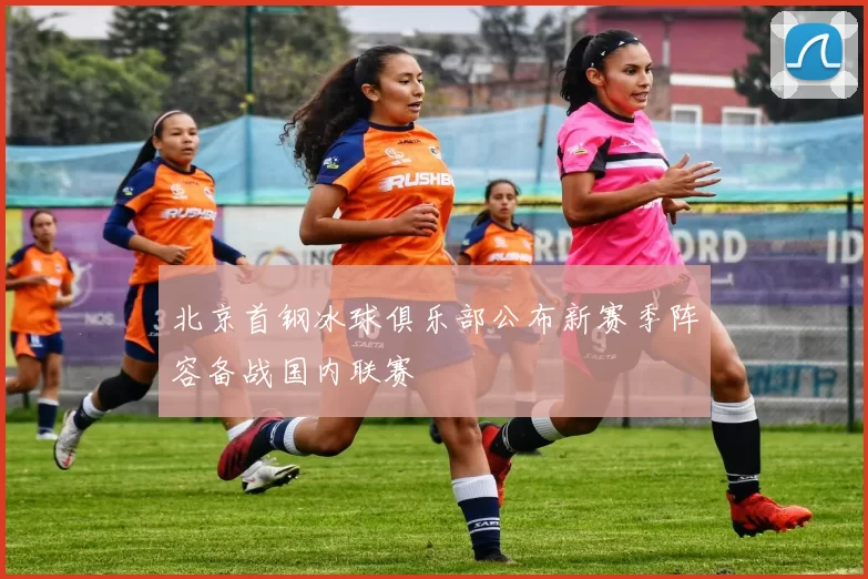 北京首钢冰球俱乐部公布新赛季阵容备战国内联赛