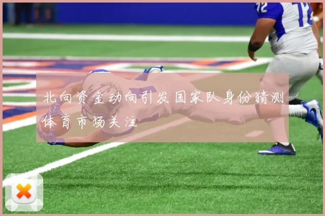 北向资金动向引发国家队身份猜测体育市场关注