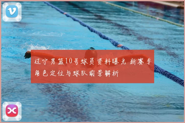 辽宁男篮10号球员资料曝光 新赛季角色定位与球队前景解析